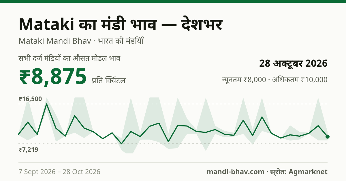 देशभर में Mataki का मंडी भाव 28 अक्टूबर 2026: औसत मोडल ₹8,875 प्रति क्विंटल, भाव के रुझान का चार्ट