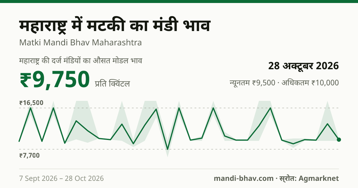 महाराष्ट्र में Mataki का मंडी भाव 28 अक्टूबर 2026: औसत मोडल ₹9,750 प्रति क्विंटल, भाव के रुझान का चार्ट