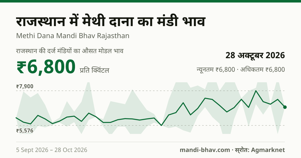 राजस्थान में मेथी दाना का मंडी भाव 28 अक्टूबर 2026: औसत मोडल ₹6,800 प्रति क्विंटल, भाव के रुझान का चार्ट