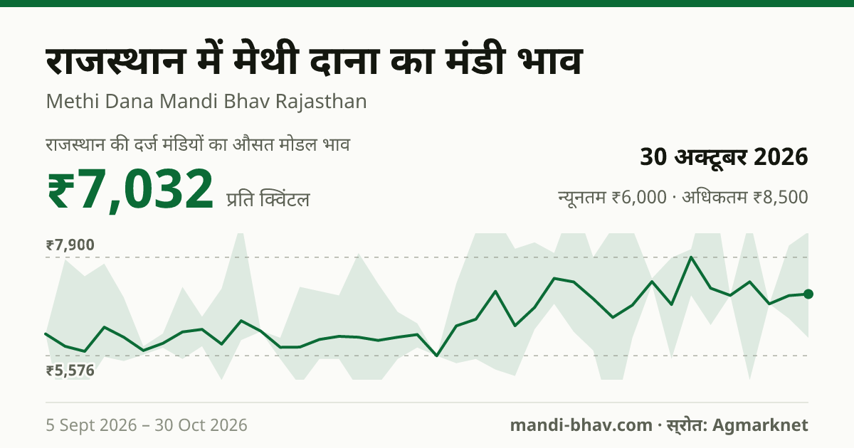 राजस्थान में मेथी दाना का मंडी भाव 30 अक्टूबर 2026: औसत मोडल ₹7,032 प्रति क्विंटल, भाव के रुझान का चार्ट