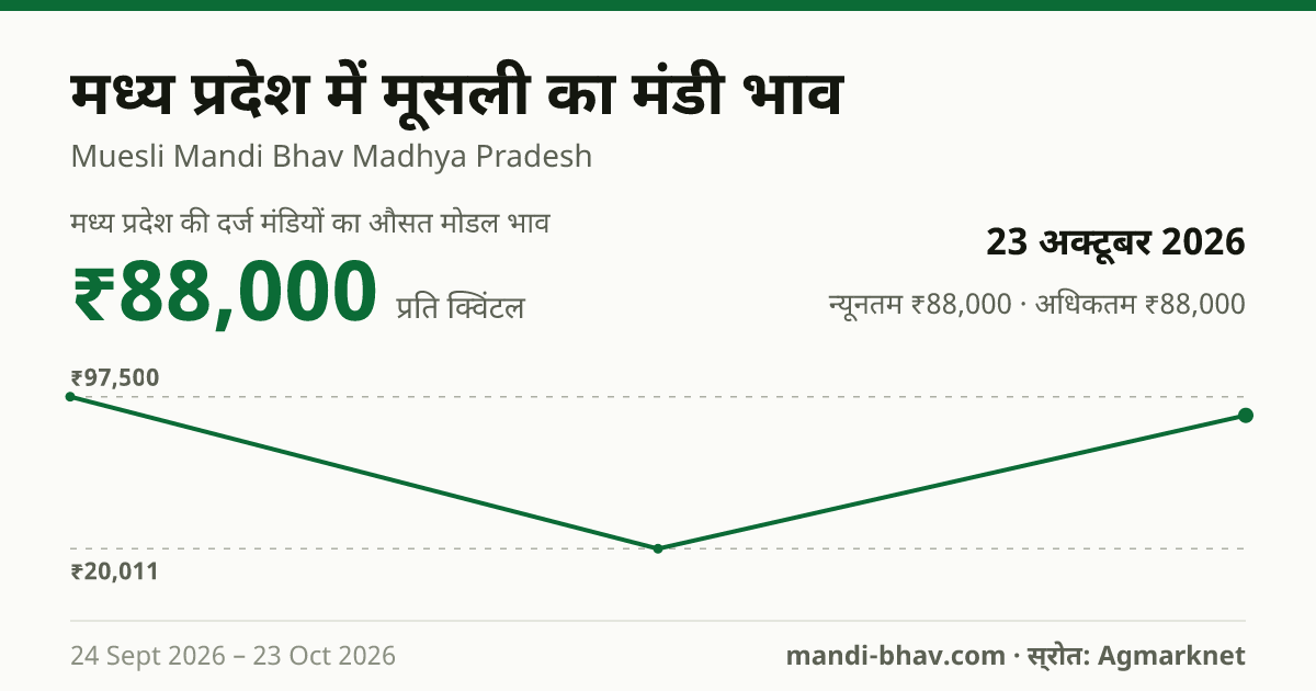 मध्य प्रदेश में मूसली का मंडी भाव 23 अक्टूबर 2026: औसत मोडल ₹88,000 प्रति क्विंटल, भाव के रुझान का चार्ट