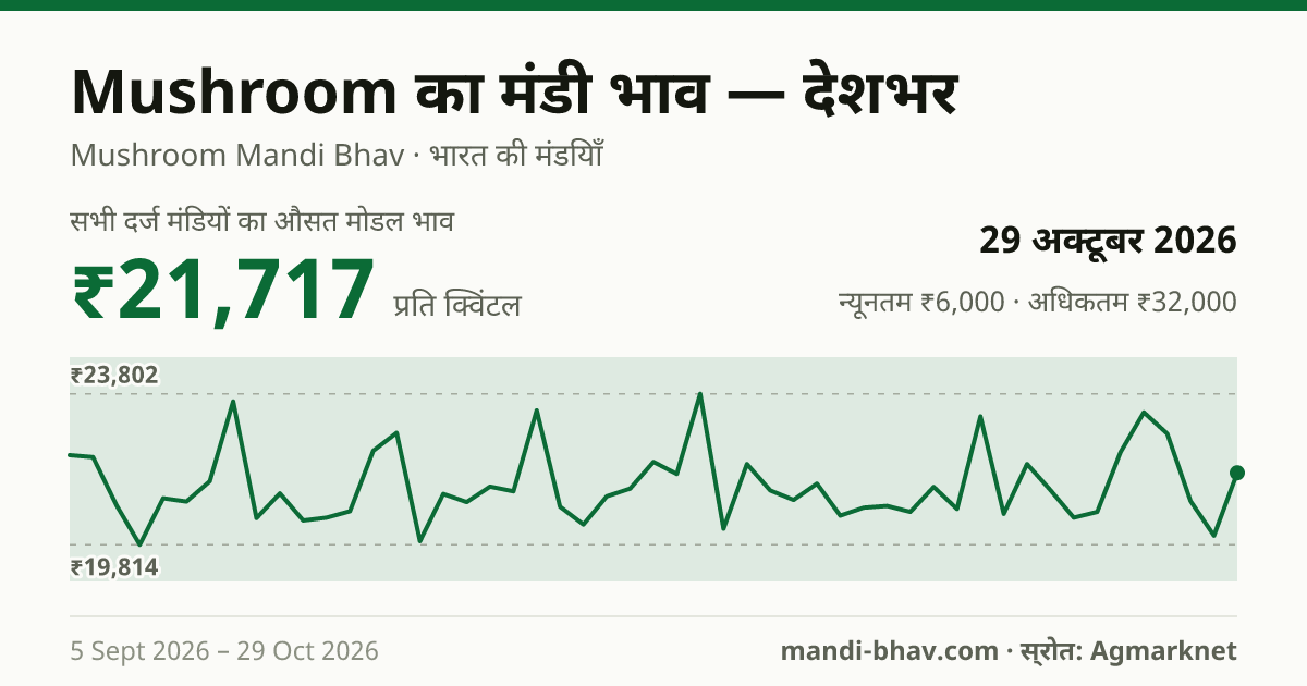 देशभर में Mushroom का मंडी भाव 29 अक्टूबर 2026: औसत मोडल ₹23,382 प्रति क्विंटल, भाव के रुझान का चार्ट