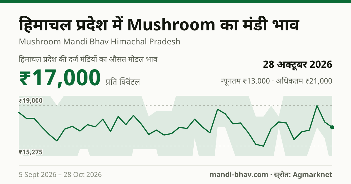 हिमाचल प्रदेश में Mushroom का मंडी भाव 28 अक्टूबर 2026: औसत मोडल ₹17,000 प्रति क्विंटल, भाव के रुझान का चार्ट