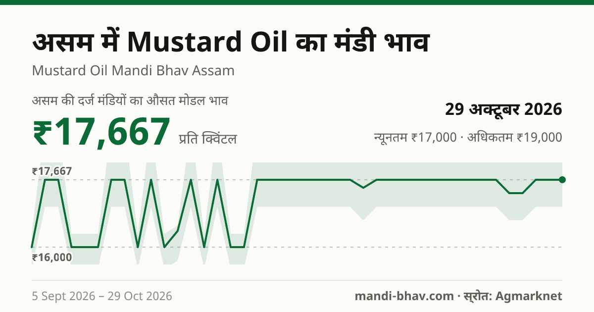 असम में Mustard Oil का मंडी भाव 29 अक्टूबर 2026: औसत मोडल ₹17,667 प्रति क्विंटल, भाव के रुझान का चार्ट