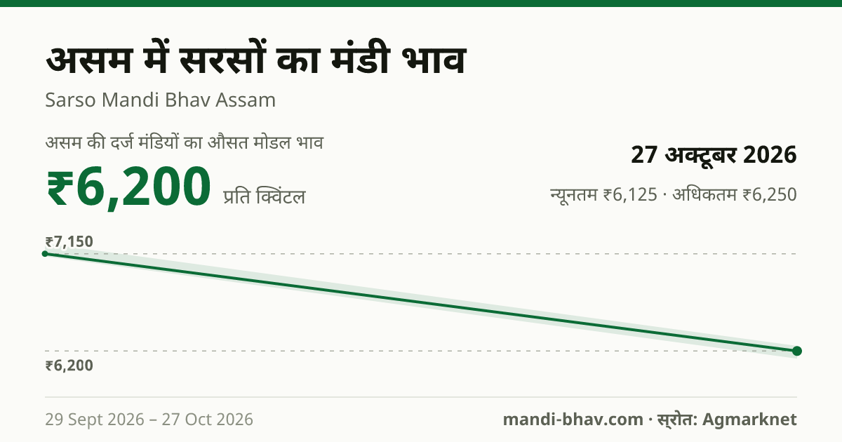 असम में सरसों का मंडी भाव 27 अक्टूबर 2026: औसत मोडल ₹6,200 प्रति क्विंटल, भाव के रुझान का चार्ट