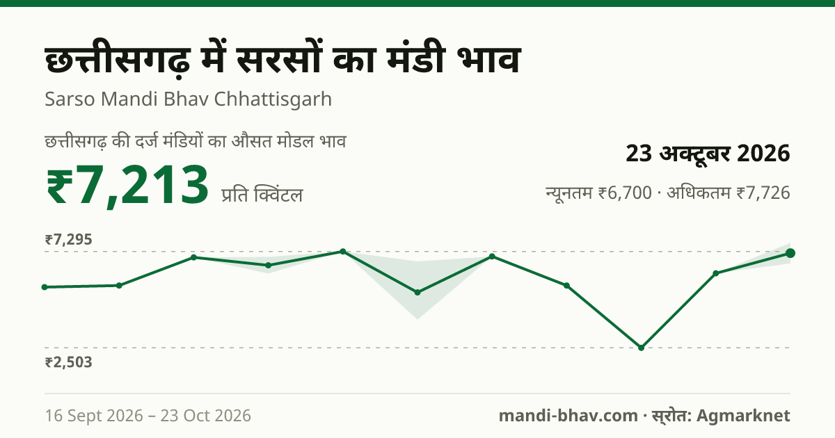 छत्तीसगढ़ में सरसों का मंडी भाव 23 अक्टूबर 2026: औसत मोडल ₹7,213 प्रति क्विंटल, भाव के रुझान का चार्ट