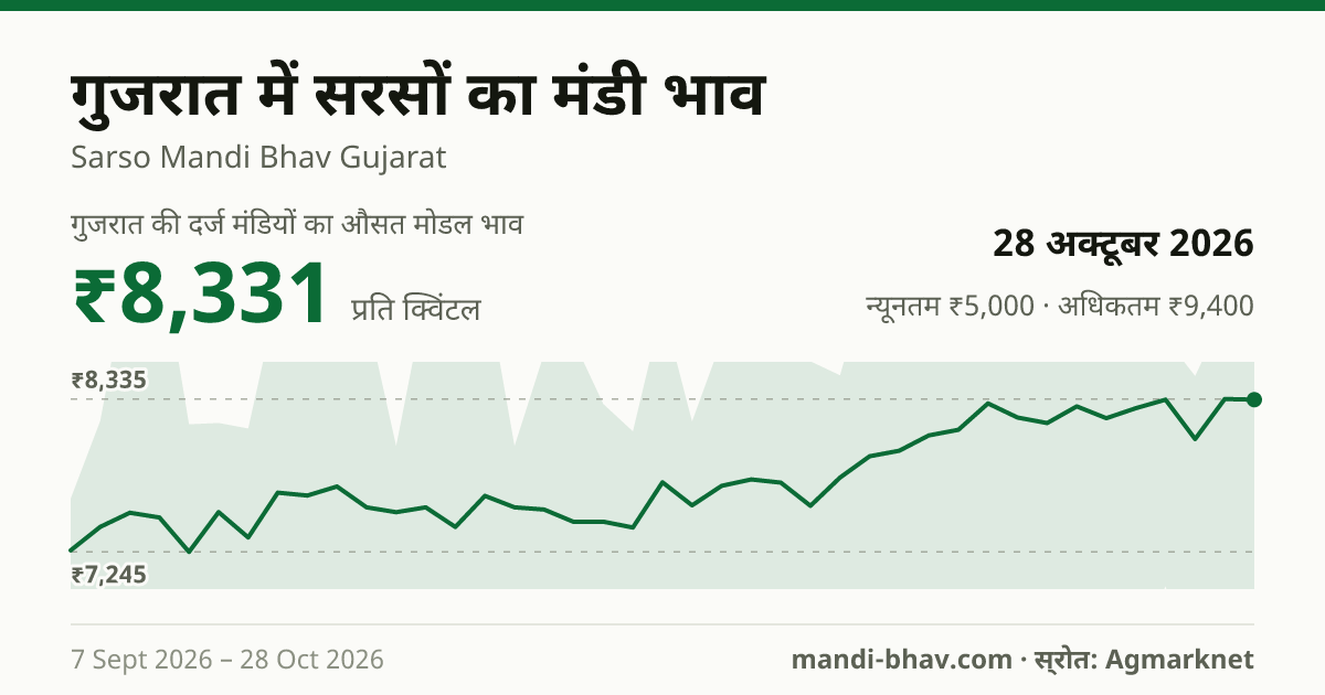 गुजरात में सरसों का मंडी भाव 28 अक्टूबर 2026: औसत मोडल ₹8,331 प्रति क्विंटल, भाव के रुझान का चार्ट