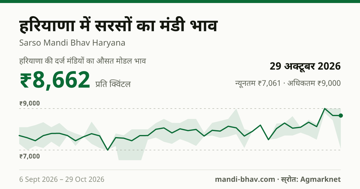हरियाणा में सरसों का मंडी भाव 29 अक्टूबर 2026: औसत मोडल ₹8,662 प्रति क्विंटल, भाव के रुझान का चार्ट