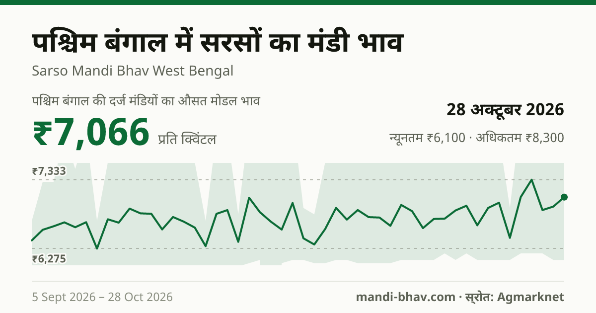 पश्चिम बंगाल में सरसों का मंडी भाव 28 अक्टूबर 2026: औसत मोडल ₹7,066 प्रति क्विंटल, भाव के रुझान का चार्ट