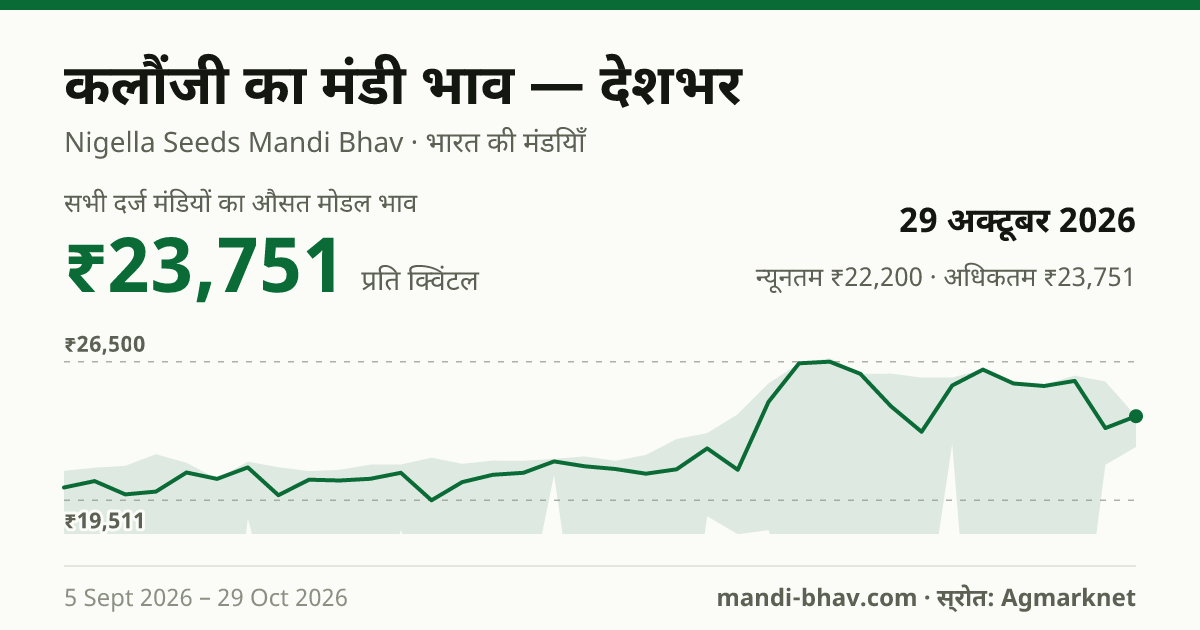 देशभर में कलौंजी का मंडी भाव 29 अक्टूबर 2026: औसत मोडल ₹23,751 प्रति क्विंटल, भाव के रुझान का चार्ट