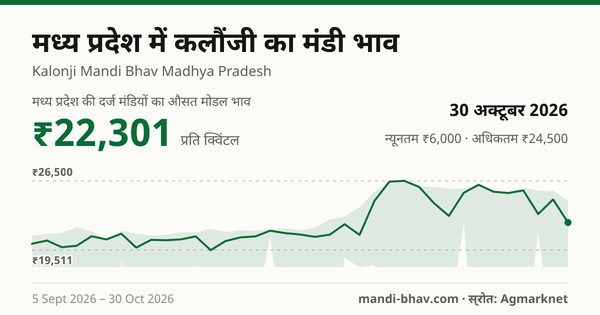 मध्य प्रदेश में कलौंजी का मंडी भाव 30 अक्टूबर 2026: औसत मोडल ₹24,201 प्रति क्विंटल, भाव के रुझान का चार्ट