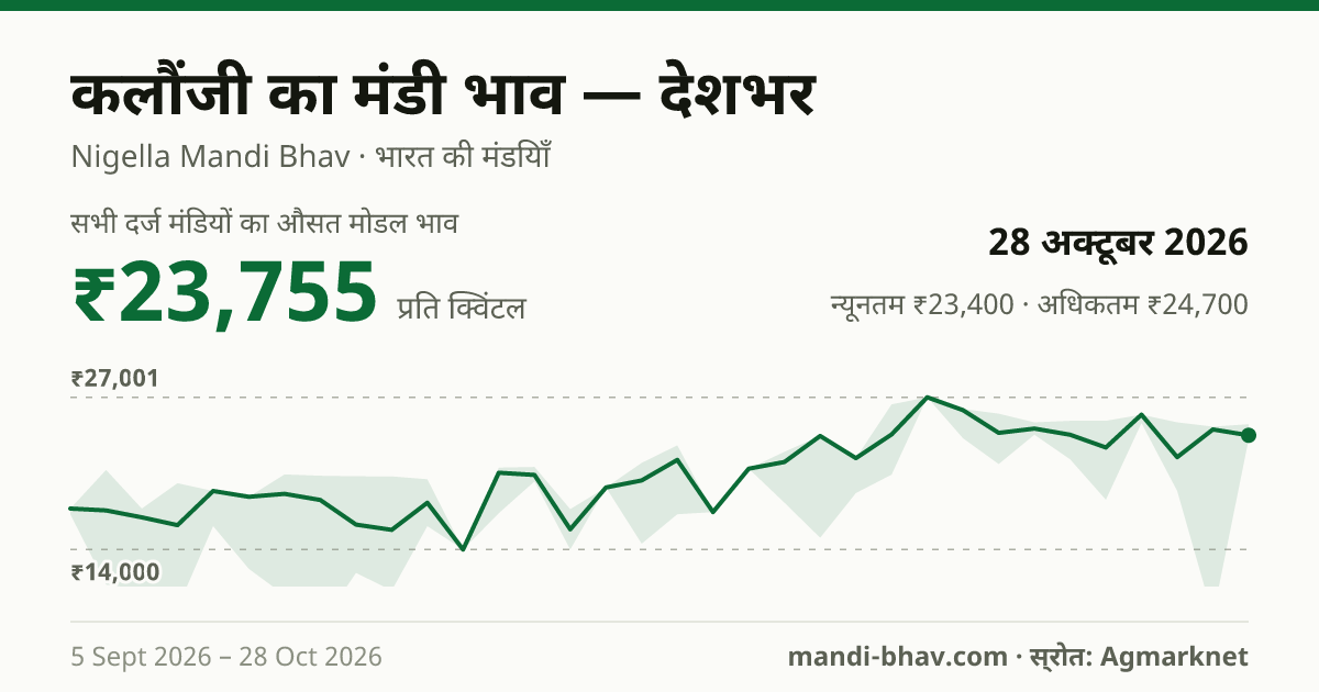 देशभर में कलौंजी का मंडी भाव 28 अक्टूबर 2026: औसत मोडल ₹23,755 प्रति क्विंटल, भाव के रुझान का चार्ट