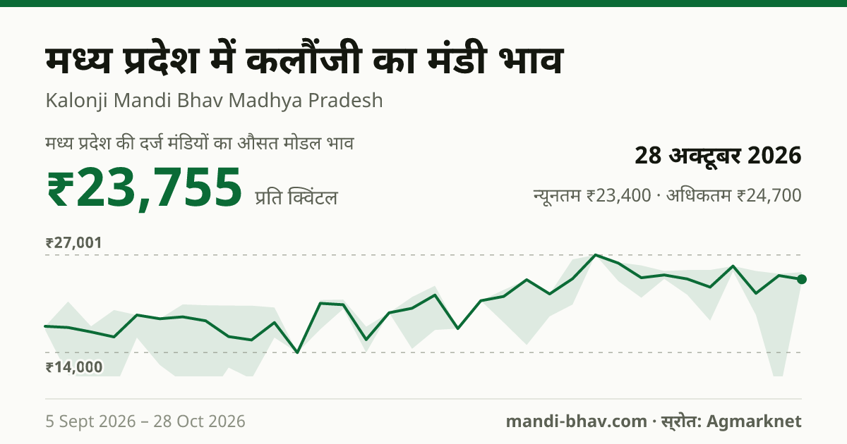 मध्य प्रदेश में कलौंजी का मंडी भाव 28 अक्टूबर 2026: औसत मोडल ₹23,755 प्रति क्विंटल, भाव के रुझान का चार्ट