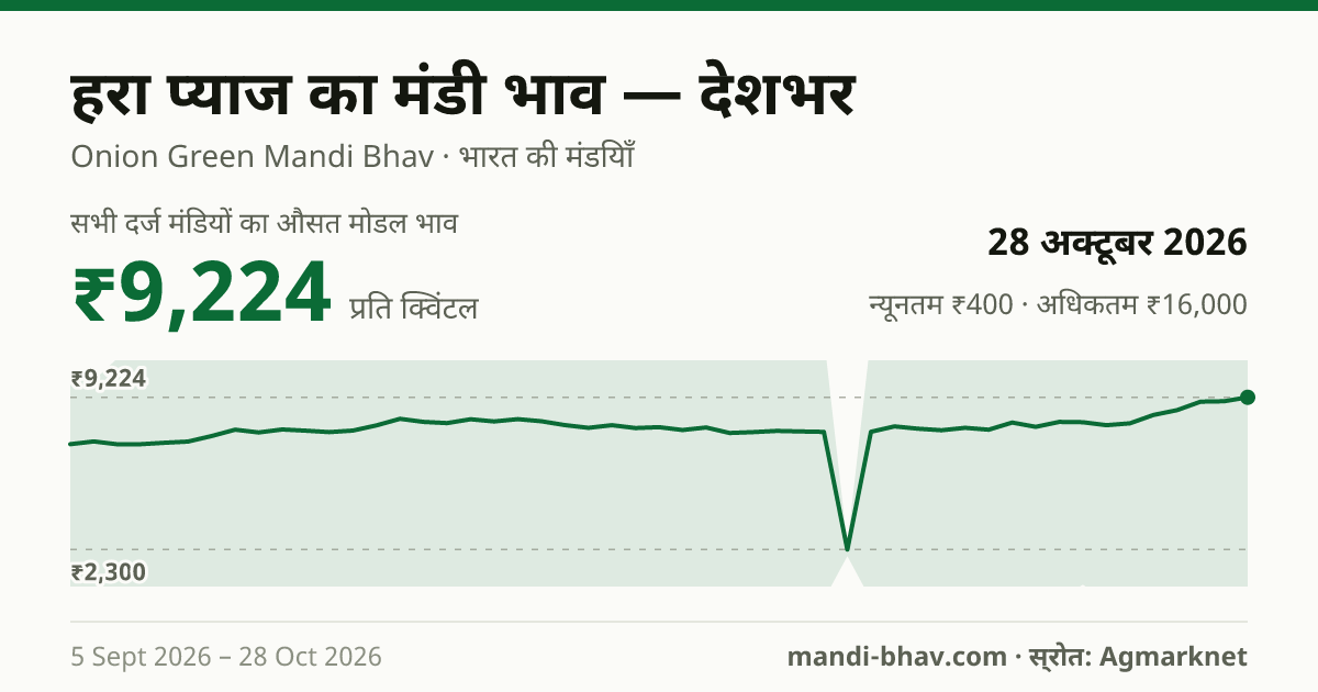देशभर में हरा प्याज का मंडी भाव 28 अक्टूबर 2026: औसत मोडल ₹9,224 प्रति क्विंटल, भाव के रुझान का चार्ट