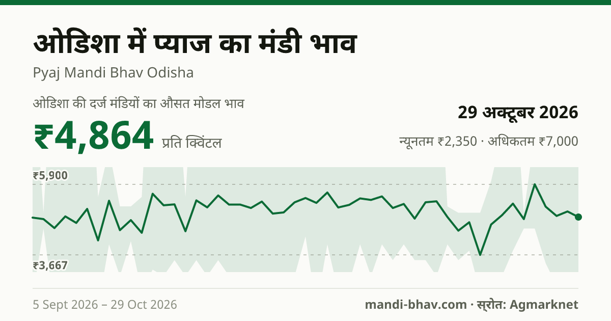 ओडिशा में प्याज का मंडी भाव 29 अक्टूबर 2026: औसत मोडल ₹5,000 प्रति क्विंटल, भाव के रुझान का चार्ट