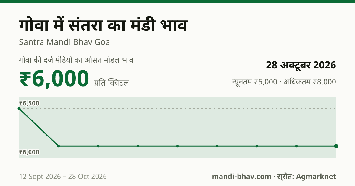 गोवा में संतरा का मंडी भाव 28 अक्टूबर 2026: औसत मोडल ₹6,000 प्रति क्विंटल, भाव के रुझान का चार्ट