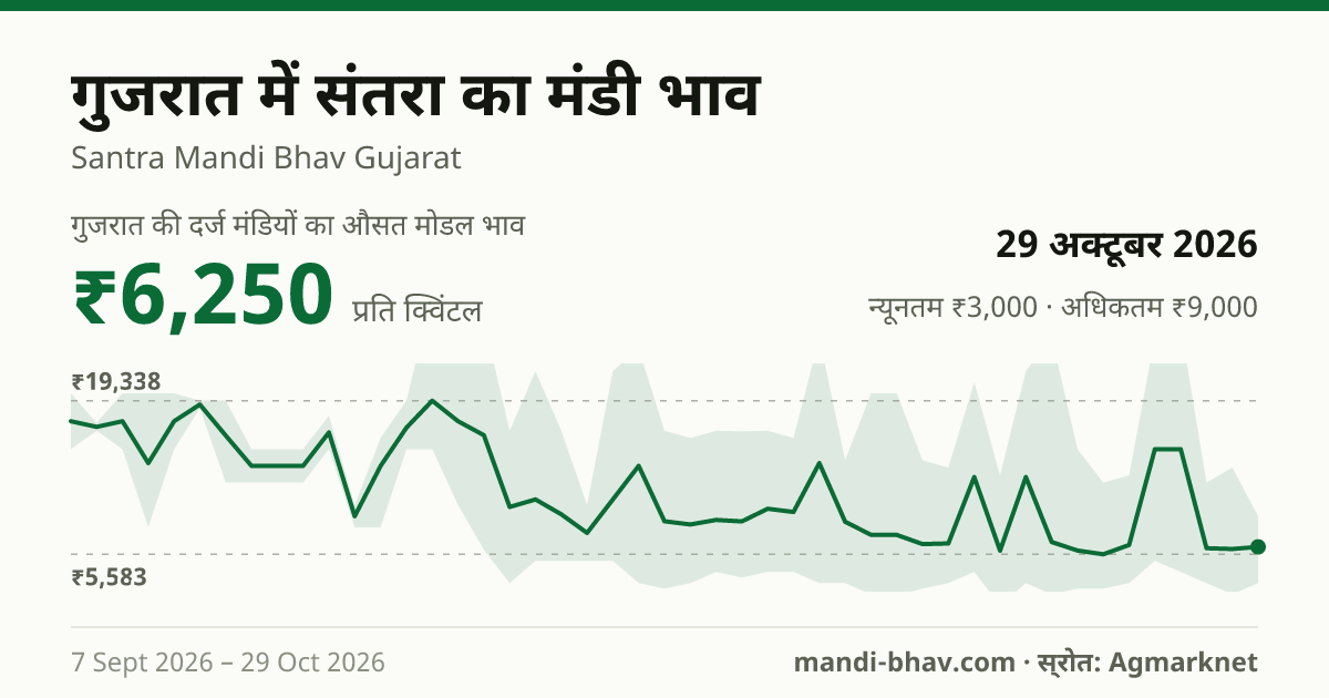 गुजरात में संतरा का मंडी भाव 29 अक्टूबर 2026: औसत मोडल ₹6,250 प्रति क्विंटल, भाव के रुझान का चार्ट