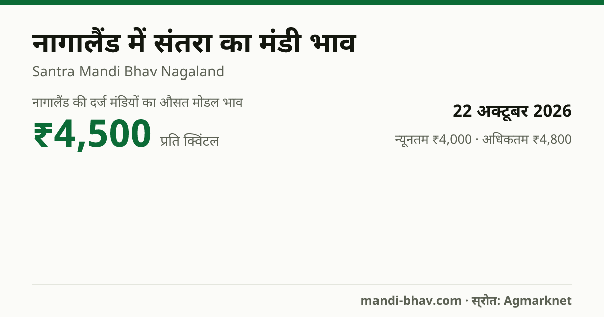 नागालैंड में संतरा का मंडी भाव 22 अक्टूबर 2026: औसत मोडल ₹4,500 प्रति क्विंटल, भाव के रुझान का चार्ट