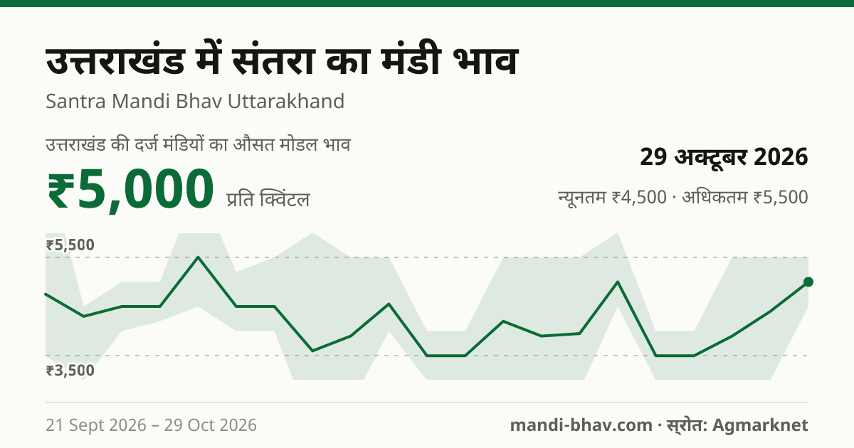 उत्तराखंड में संतरा का मंडी भाव 29 अक्टूबर 2026: औसत मोडल ₹5,000 प्रति क्विंटल, भाव के रुझान का चार्ट