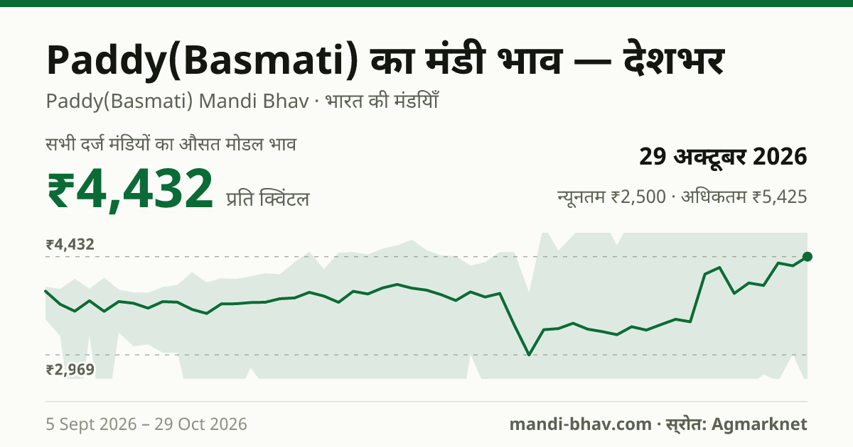 देशभर में Paddy(Basmati) का मंडी भाव 29 अक्टूबर 2026: औसत मोडल ₹4,290 प्रति क्विंटल, भाव के रुझान का चार्ट