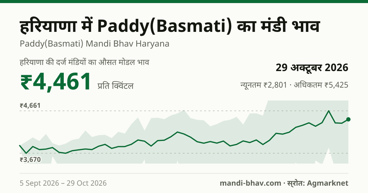 हरियाणा में Paddy(Basmati) का मंडी भाव 29 अक्टूबर 2026: औसत मोडल ₹4,461 प्रति क्विंटल, भाव के रुझान का चार्ट
