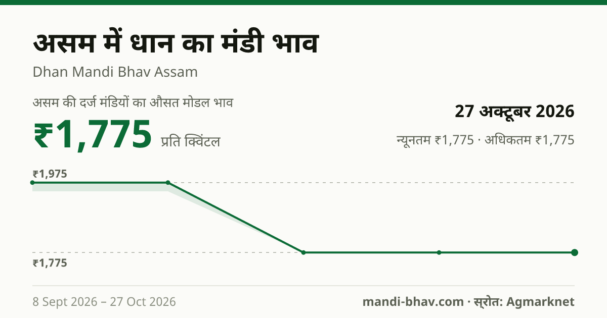 असम में धान का मंडी भाव 27 अक्टूबर 2026: औसत मोडल ₹1,775 प्रति क्विंटल, भाव के रुझान का चार्ट