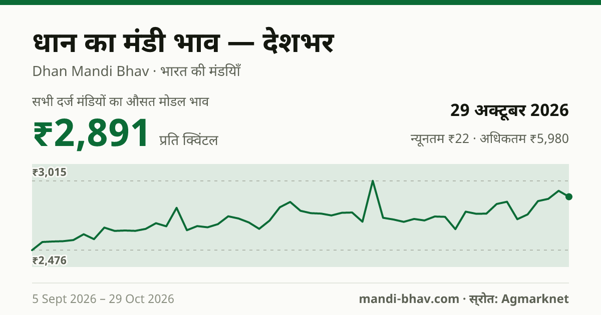 देशभर में धान का मंडी भाव 29 अक्टूबर 2026: औसत मोडल ₹2,988 प्रति क्विंटल, भाव के रुझान का चार्ट