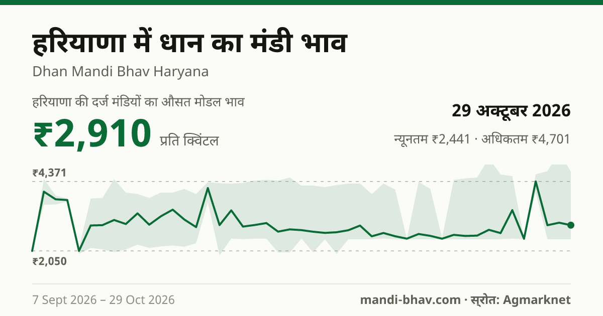 हरियाणा में धान का मंडी भाव 29 अक्टूबर 2026: औसत मोडल ₹3,376 प्रति क्विंटल, भाव के रुझान का चार्ट