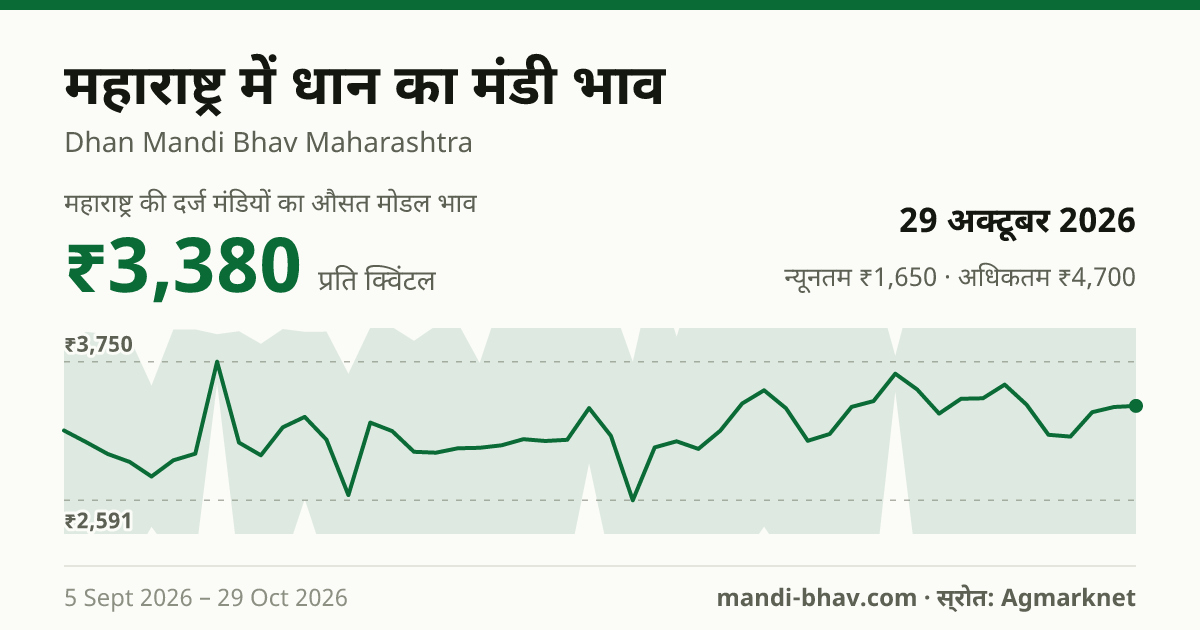 महाराष्ट्र में धान का मंडी भाव 29 अक्टूबर 2026: औसत मोडल ₹3,380 प्रति क्विंटल, भाव के रुझान का चार्ट