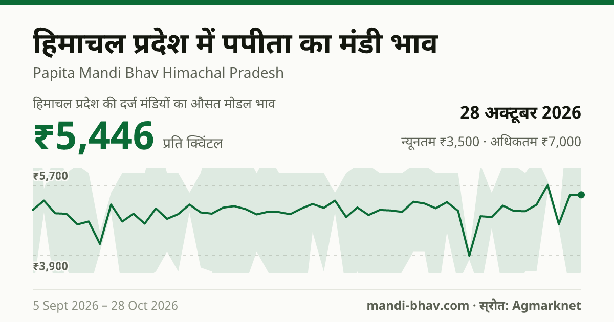 हिमाचल प्रदेश में पपीता का मंडी भाव 28 अक्टूबर 2026: औसत मोडल ₹5,446 प्रति क्विंटल, भाव के रुझान का चार्ट
