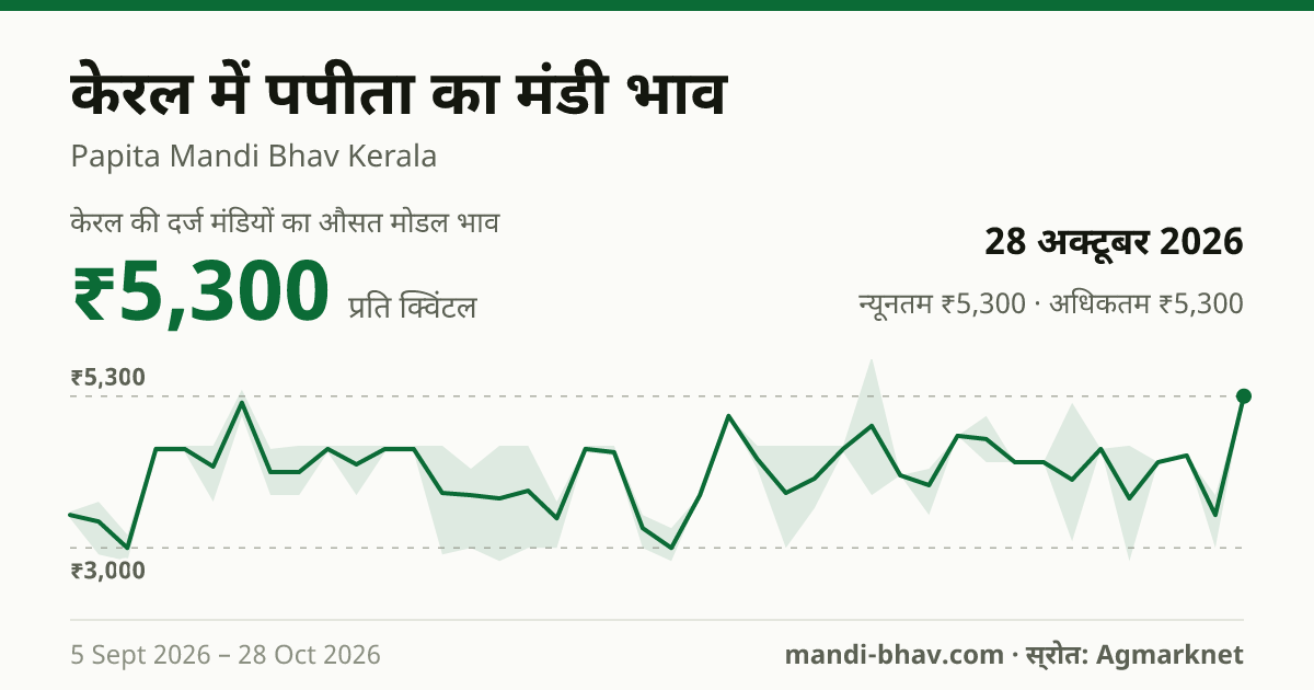 केरल में पपीता का मंडी भाव 28 अक्टूबर 2026: औसत मोडल ₹5,300 प्रति क्विंटल, भाव के रुझान का चार्ट