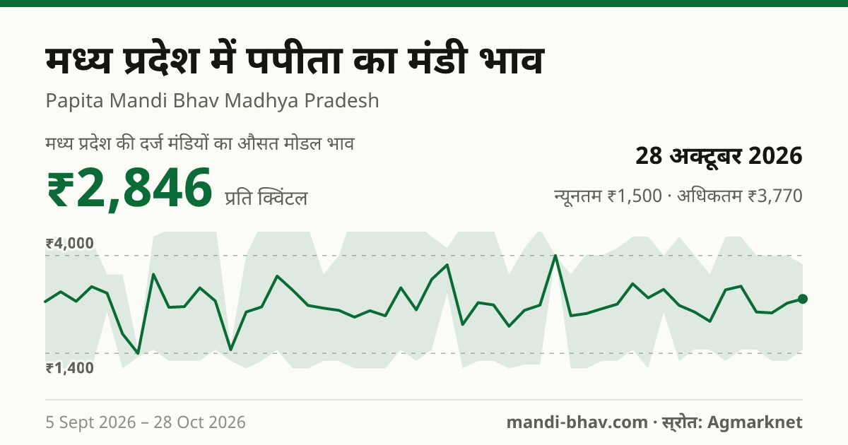 मध्य प्रदेश में पपीता का मंडी भाव 28 अक्टूबर 2026: औसत मोडल ₹2,846 प्रति क्विंटल, भाव के रुझान का चार्ट