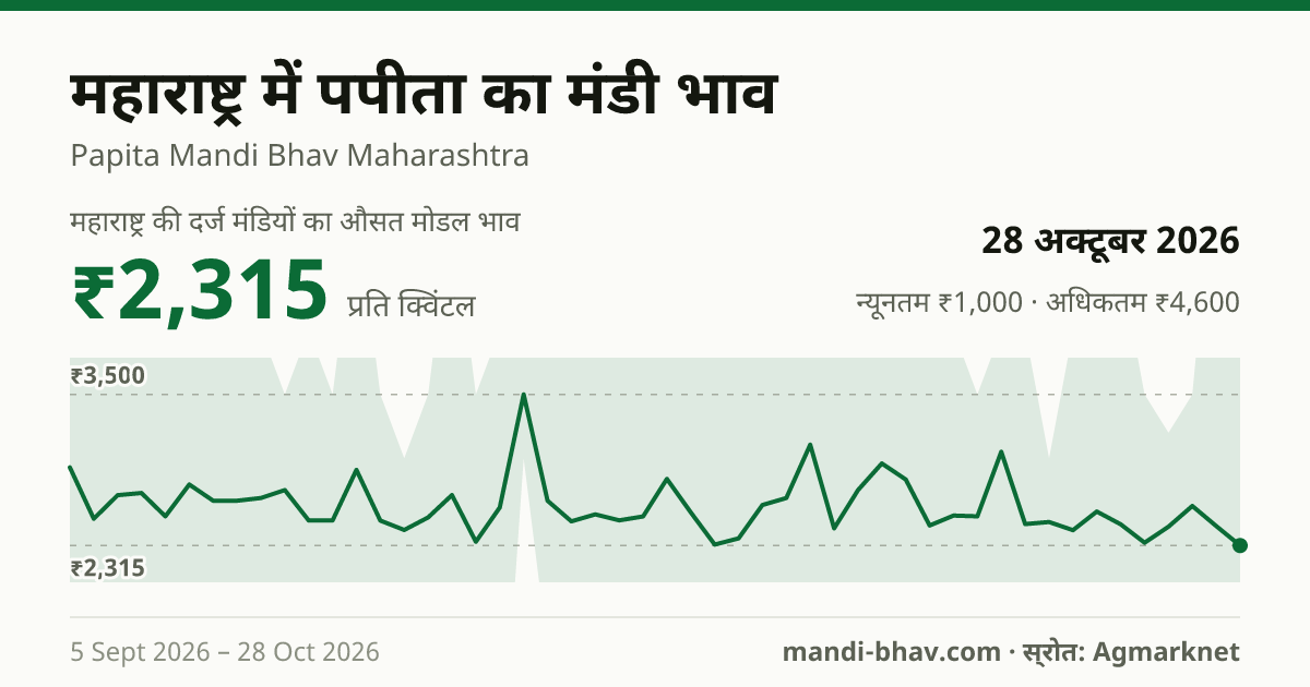 महाराष्ट्र में पपीता का मंडी भाव 28 अक्टूबर 2026: औसत मोडल ₹2,315 प्रति क्विंटल, भाव के रुझान का चार्ट