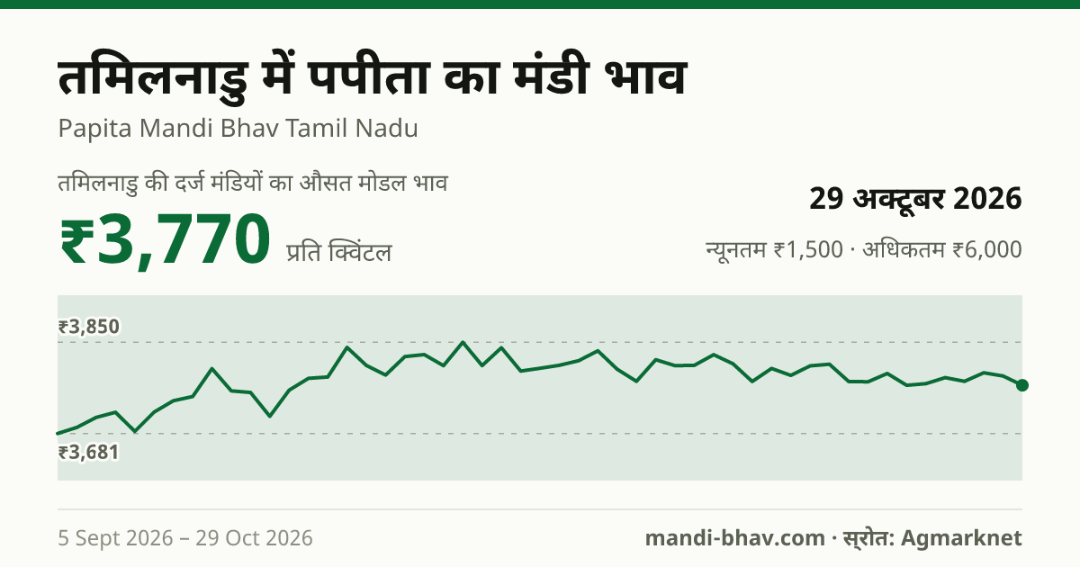 तमिलनाडु में पपीता का मंडी भाव 29 अक्टूबर 2026: औसत मोडल ₹3,770 प्रति क्विंटल, भाव के रुझान का चार्ट