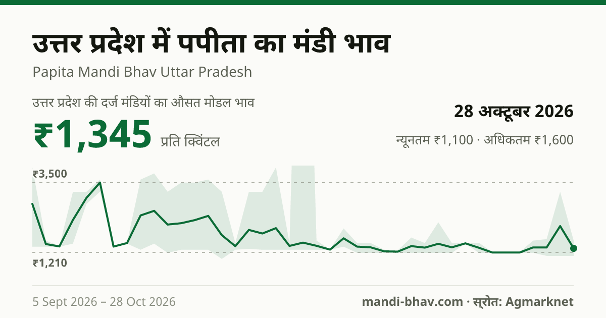 उत्तर प्रदेश में पपीता का मंडी भाव 28 अक्टूबर 2026: औसत मोडल ₹1,345 प्रति क्विंटल, भाव के रुझान का चार्ट