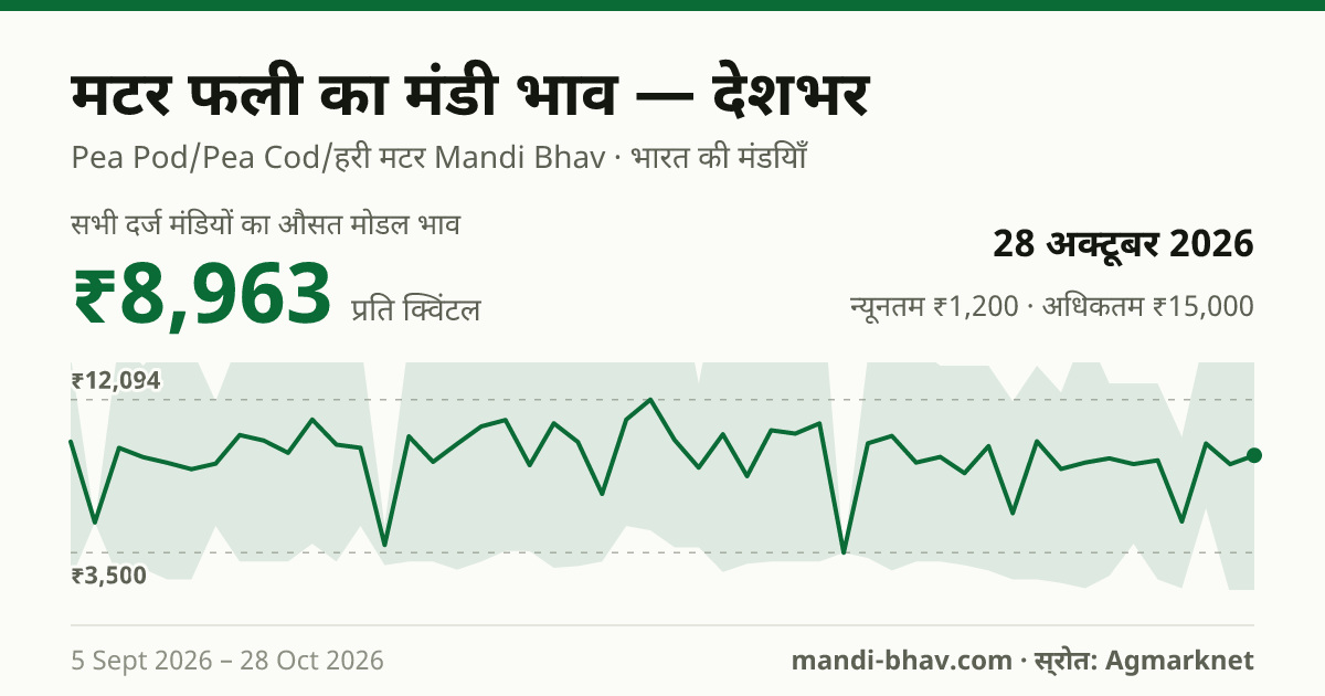 देशभर में मटर फली का मंडी भाव 28 अक्टूबर 2026: औसत मोडल ₹8,963 प्रति क्विंटल, भाव के रुझान का चार्ट