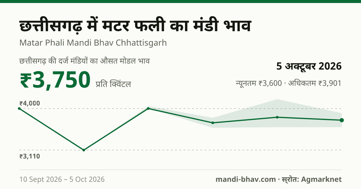 छत्तीसगढ़ में मटर फली का मंडी भाव 5 अक्टूबर 2026: औसत मोडल ₹3,750 प्रति क्विंटल, भाव के रुझान का चार्ट