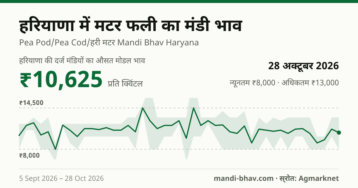 हरियाणा में मटर फली का मंडी भाव 28 अक्टूबर 2026: औसत मोडल ₹11,500 प्रति क्विंटल, भाव के रुझान का चार्ट