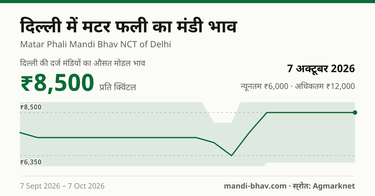 दिल्ली में मटर फली का मंडी भाव 7 अक्टूबर 2026: औसत मोडल ₹8,500 प्रति क्विंटल, भाव के रुझान का चार्ट