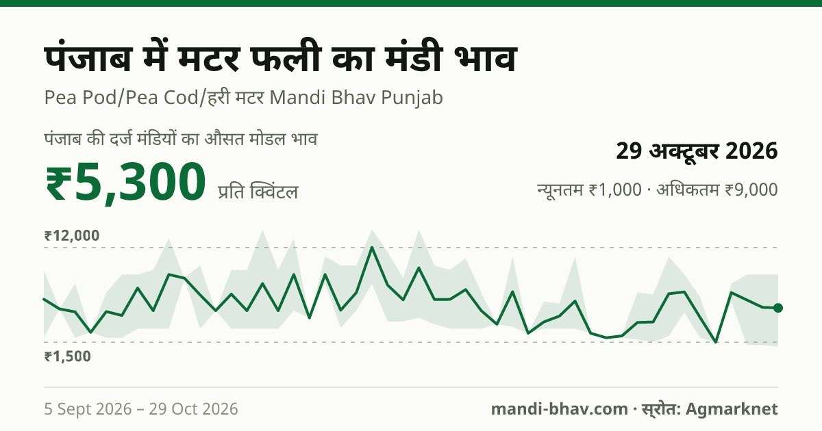 पंजाब में मटर फली का मंडी भाव 29 अक्टूबर 2026: औसत मोडल ₹5,300 प्रति क्विंटल, भाव के रुझान का चार्ट