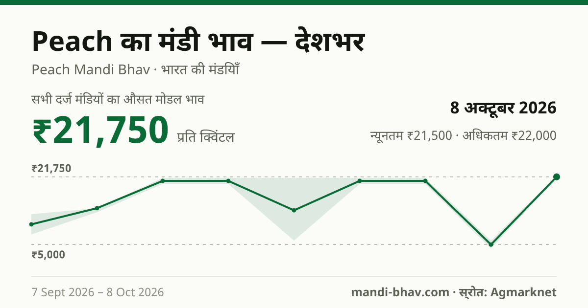देशभर में Peach का मंडी भाव 8 अक्टूबर 2026: औसत मोडल ₹21,750 प्रति क्विंटल, भाव के रुझान का चार्ट