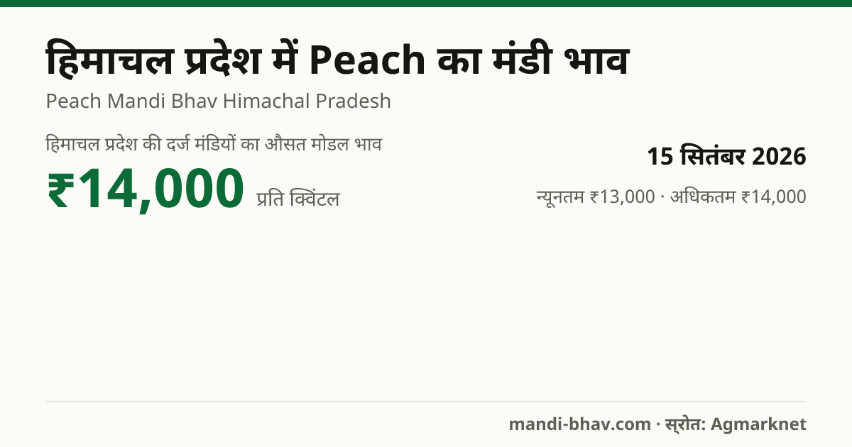हिमाचल प्रदेश में Peach का मंडी भाव 15 सितंबर 2026: औसत मोडल ₹14,000 प्रति क्विंटल, भाव के रुझान का चार्ट