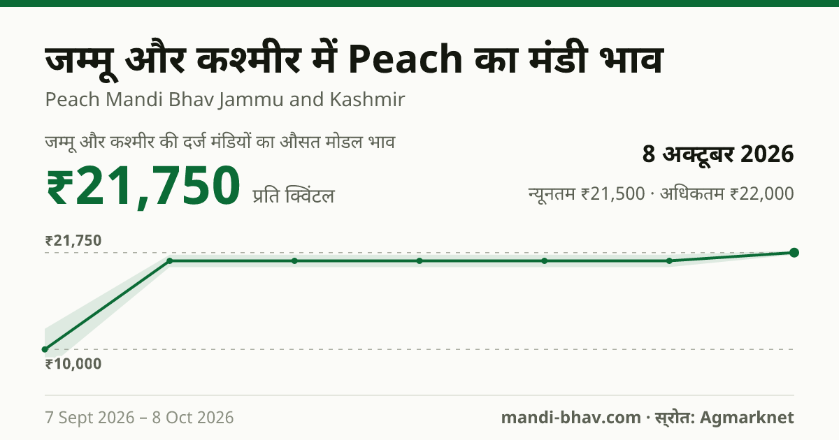 जम्मू और कश्मीर में Peach का मंडी भाव 8 अक्टूबर 2026: औसत मोडल ₹21,750 प्रति क्विंटल, भाव के रुझान का चार्ट