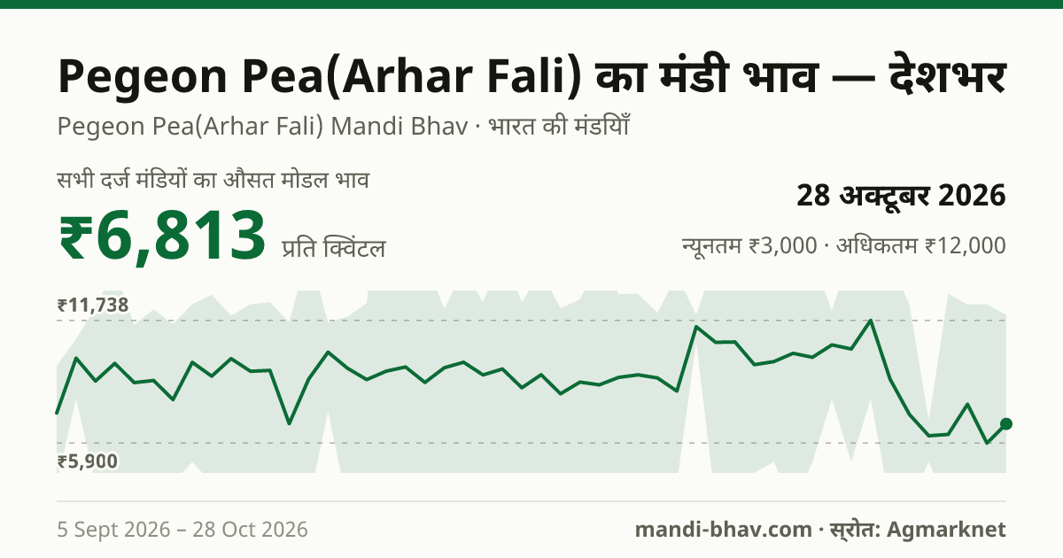 देशभर में Pegeon Pea(Arhar Fali) का मंडी भाव 28 अक्टूबर 2026: औसत मोडल ₹6,813 प्रति क्विंटल, भाव के रुझान का चार्ट