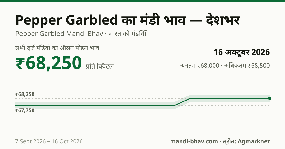 देशभर में Pepper Garbled का मंडी भाव 16 अक्टूबर 2026: औसत मोडल ₹68,250 प्रति क्विंटल, भाव के रुझान का चार्ट