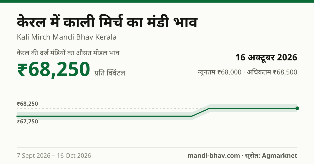 केरल में Pepper Garbled का मंडी भाव 16 अक्टूबर 2026: औसत मोडल ₹68,250 प्रति क्विंटल, भाव के रुझान का चार्ट