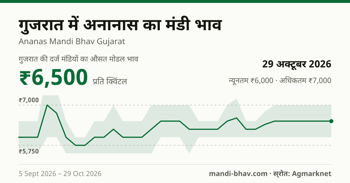 गुजरात में अनानास का मंडी भाव 29 अक्टूबर 2026: औसत मोडल ₹6,500 प्रति क्विंटल, भाव के रुझान का चार्ट