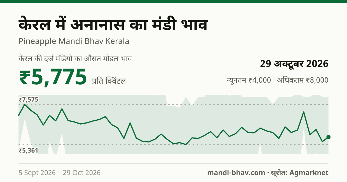 केरल में अनानास का मंडी भाव 29 अक्टूबर 2026: औसत मोडल ₹5,775 प्रति क्विंटल, भाव के रुझान का चार्ट