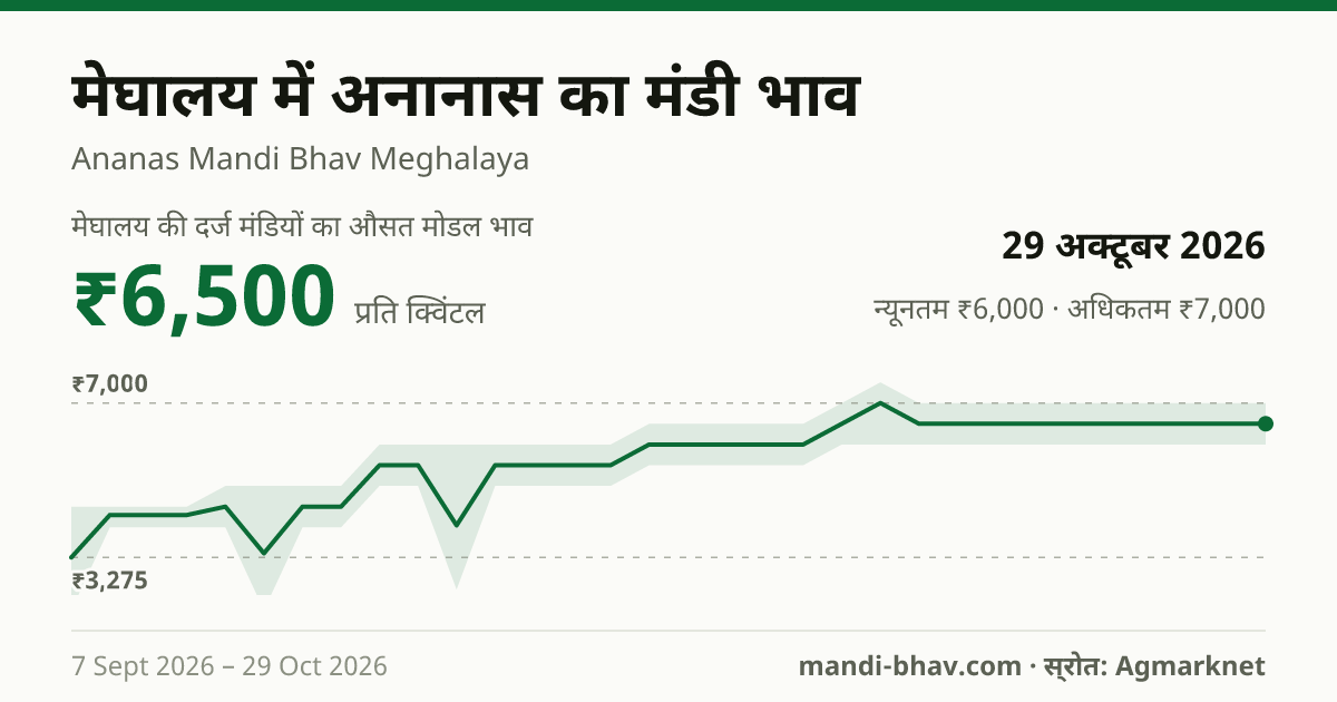 मेघालय में अनानास का मंडी भाव 29 अक्टूबर 2026: औसत मोडल ₹6,500 प्रति क्विंटल, भाव के रुझान का चार्ट