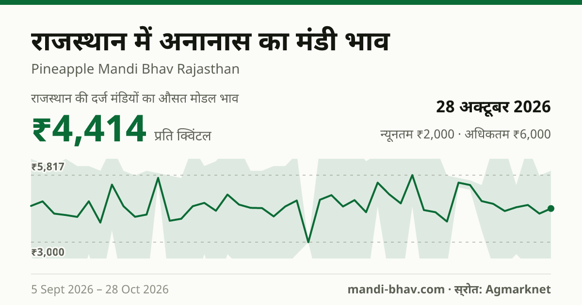 राजस्थान में अनानास का मंडी भाव 28 अक्टूबर 2026: औसत मोडल ₹4,414 प्रति क्विंटल, भाव के रुझान का चार्ट